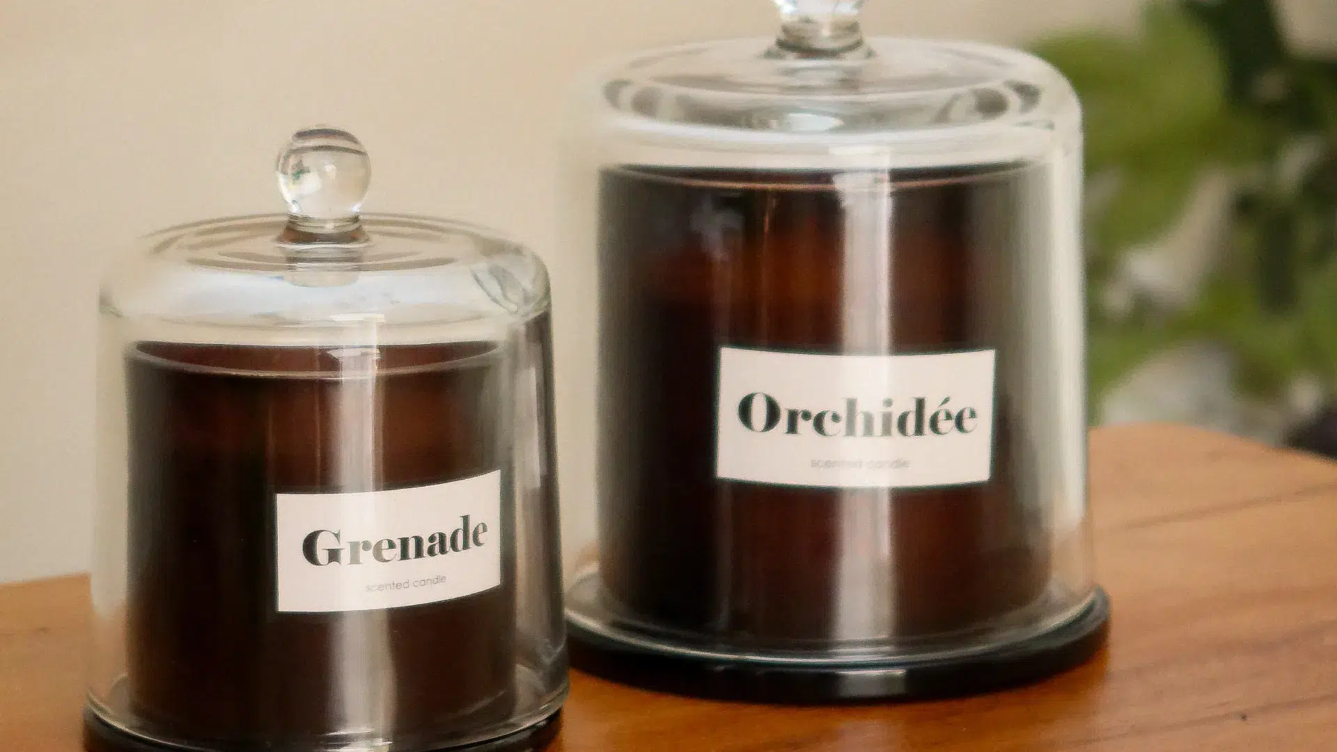 Bougies parfumées Grenade et Orchidée | LA TABLE DES CLOS Deux bougies parfumées sous cloche en verre